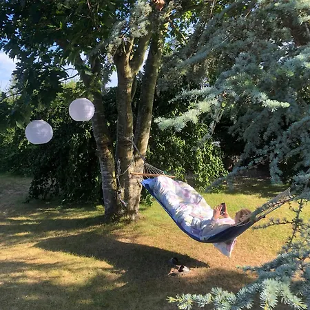 Charming Log 200 Metres From The *