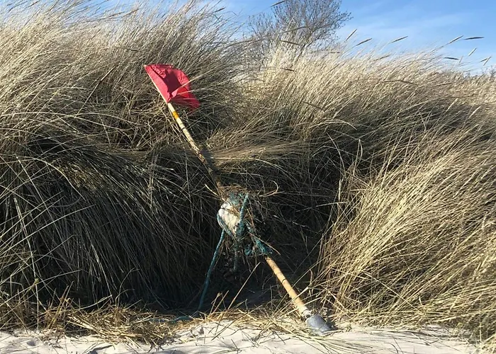 Σπίτι διακοπών Charming Log 200 Metres From The *